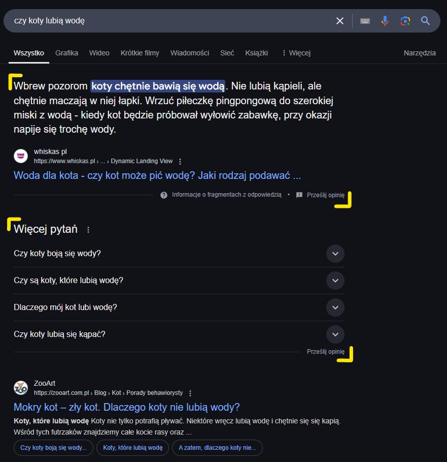 Podgląd wyników wyszukiwania Google z widocznymi elementami “Fragment z odpowiedzią”, “Więcej pytań” oraz witryny na pierwszej pozycji w wynikach wyszukiwania.
