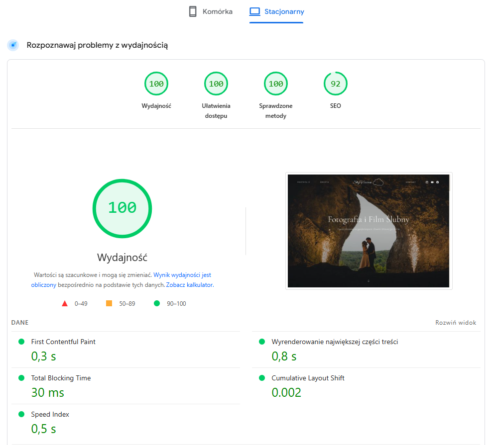 Wyniki Pagespeed dla strony Skyvision.